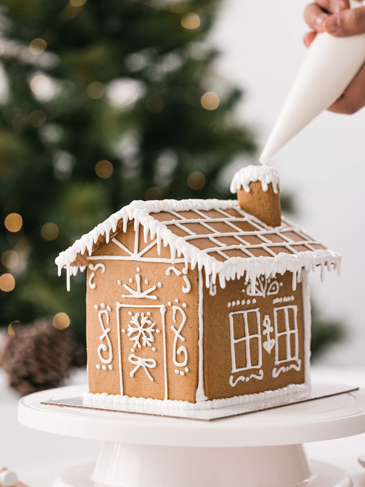 gluten free gingerbread house kit