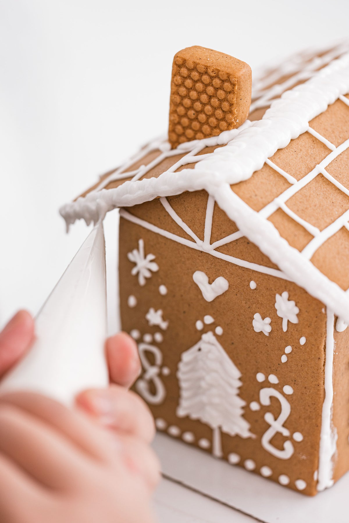 gluten free gingerbread house kit